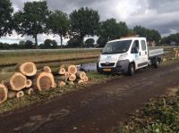 Foto 1 van het album Vellen van bomen